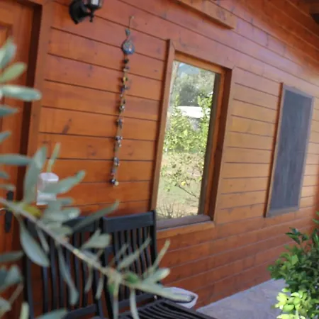 Sakin Vadi Winehouse 4* Орхание