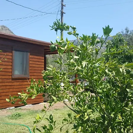 Bed & Breakfast Sakin Vadi Winehouse 3*