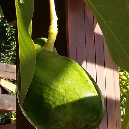 Sakin Vadi Winehouse Bed & Breakfast 3*