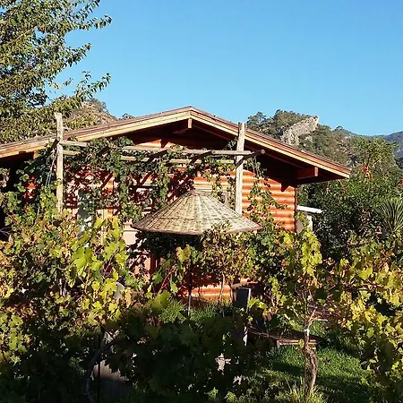 Bed & Breakfast Sakin Vadi Winehouse