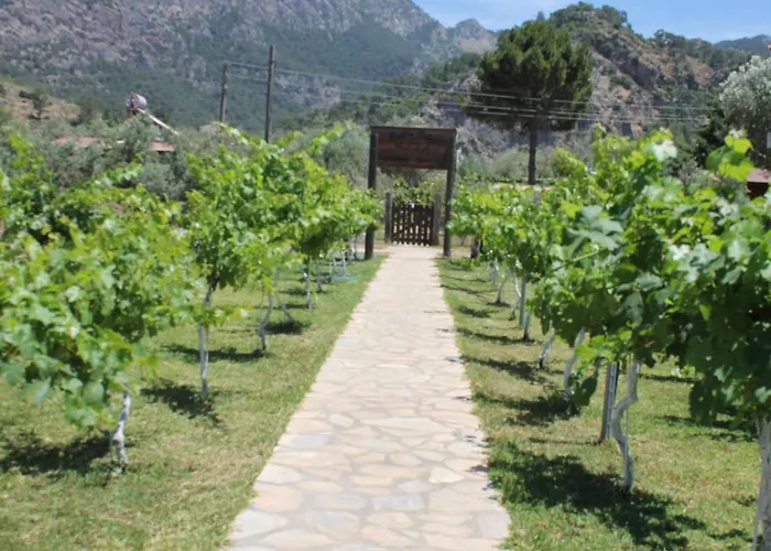 Bed & Breakfast Sakin Vadi Winehouse