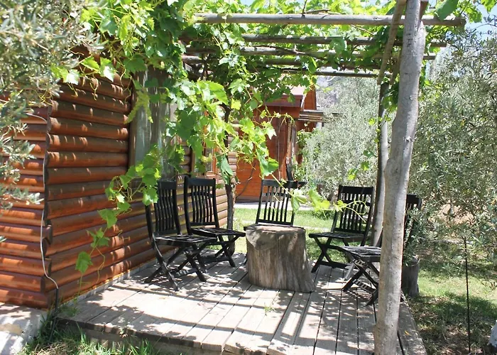 Sakin Vadi Winehouse Орхание