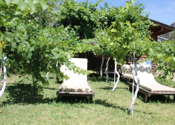 Sakin Vadi Winehouse Bed & Breakfast Orhaniye (Marmaris)