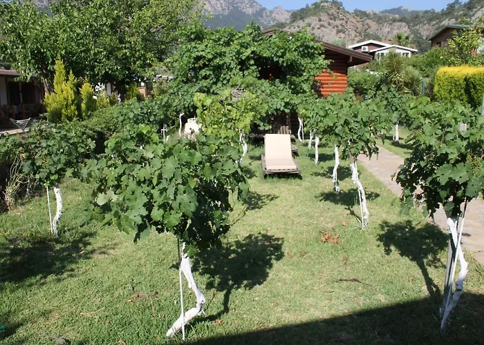 Sakin Vadi Winehouse 4* Orhaniye (Marmaris)