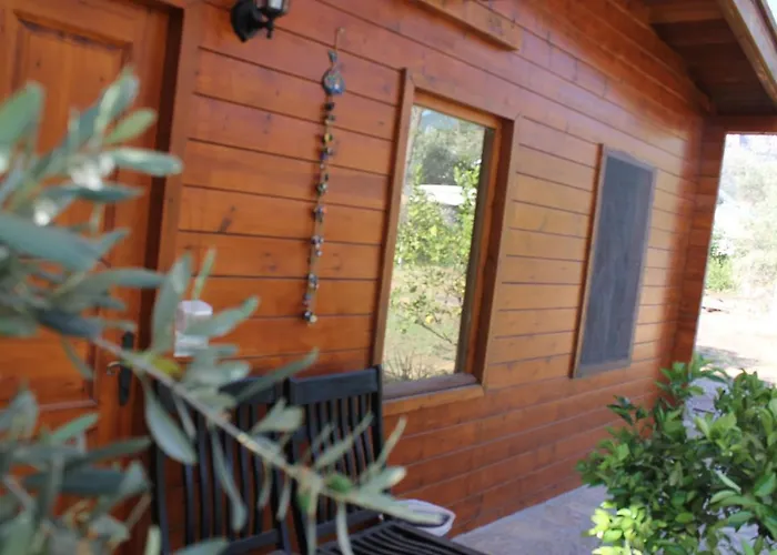 Sakin Vadi Winehouse 4* Orhaniye (Marmaris)