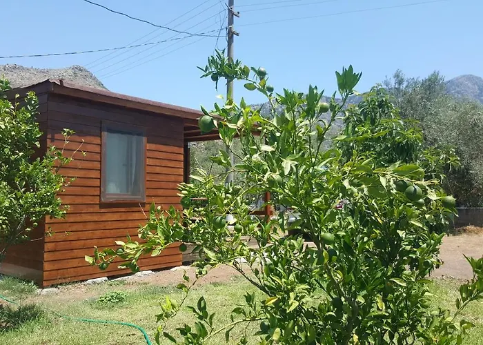 Bed & Breakfast Sakin Vadi Winehouse 4*