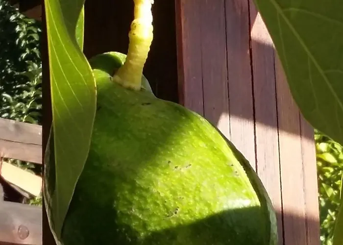 Sakin Vadi Winehouse Bed & Breakfast 4*