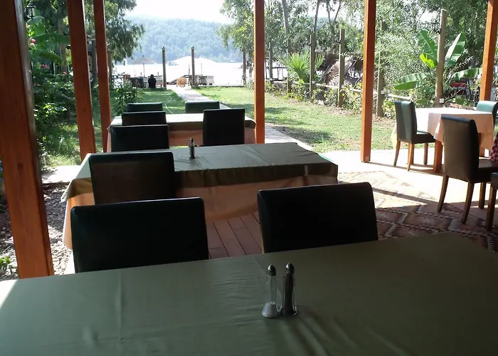 Sakin Vadi Winehouse 4*