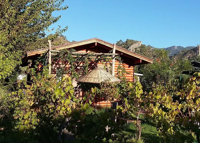 Bed & Breakfast Sakin Vadi Winehouse